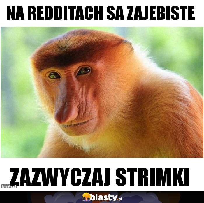 na redditach sa zajebiste
