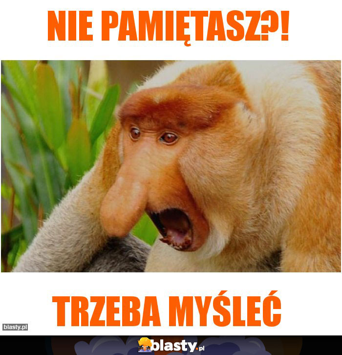 Nie pamiętasz?!
