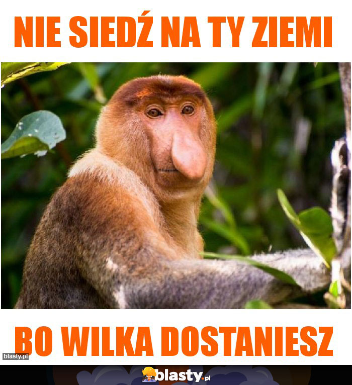 NIE SIEDŹ NA TY ZIEMI