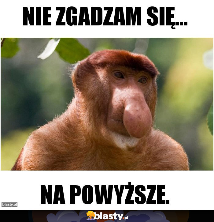 Nie zgadzam się...