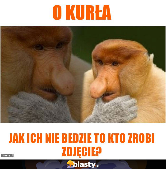 O kurła