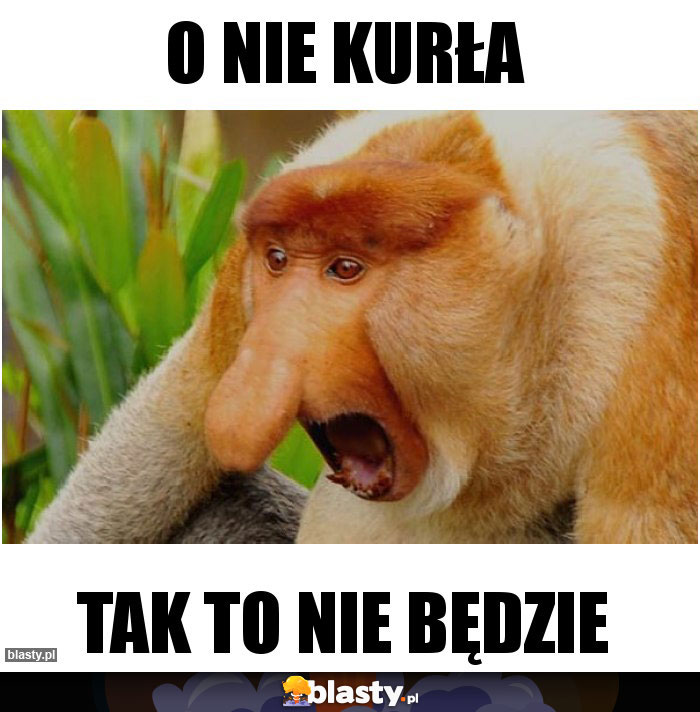 O NIE KURŁA