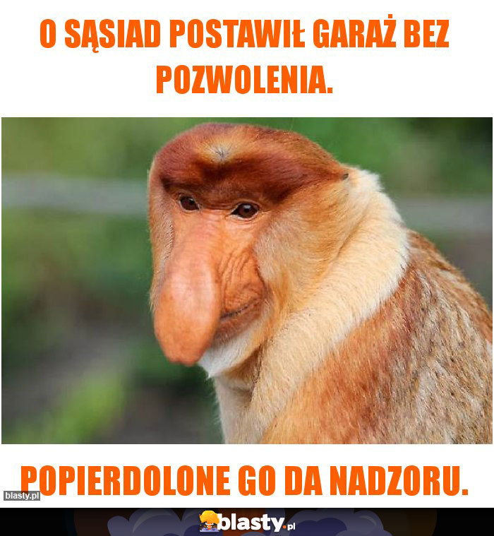 O sąsiad postawił garaż bez pozwolenia.