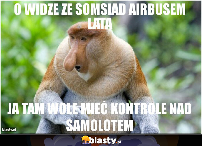 o widze ze somsiad airbusem lata