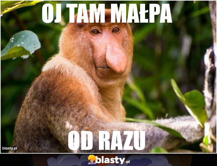 OJ tam małpa