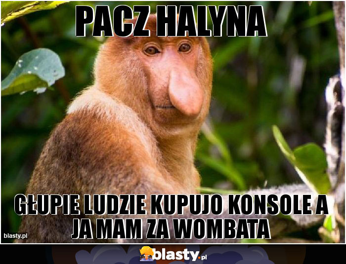 PACZ HALYNA