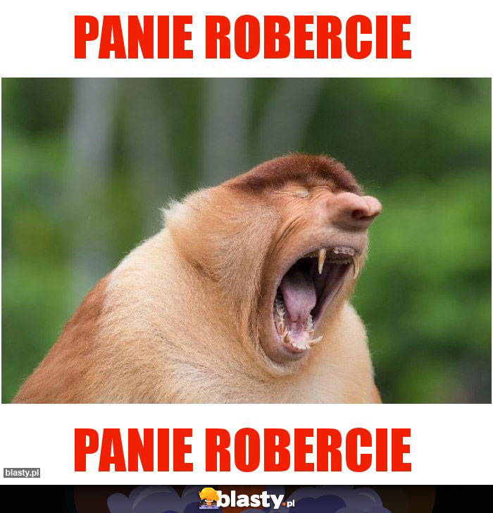 PANIE ROBERCIE