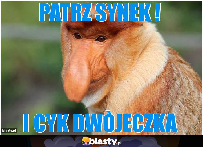 PATRZ SYNEK !