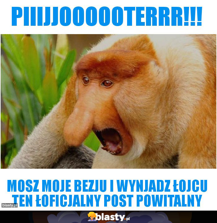 Piiijjoooooterrr!!!