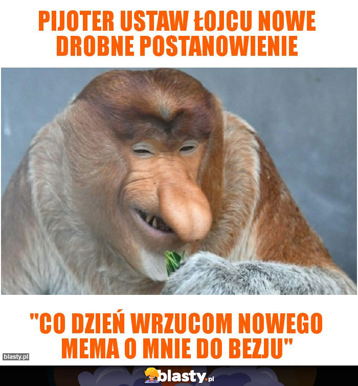 Pijoter ustaw łojcu nowe drobne postanowienie