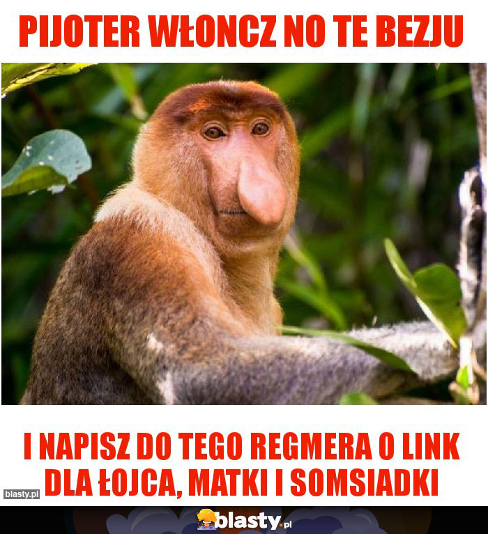 PIJOTER WŁONCZ NO TE BEZJU