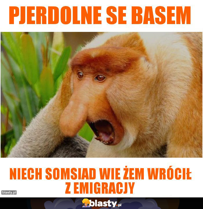 PJERDOLNE SE BASEM