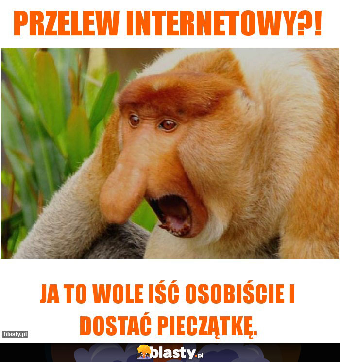 Przelew internetowy?!