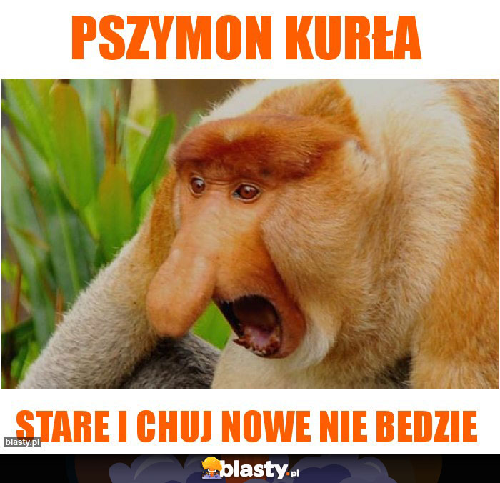 Pszymon kurła