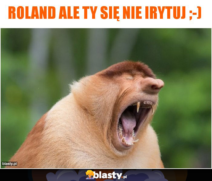 Roland ale Ty się nie irytuj ;-)