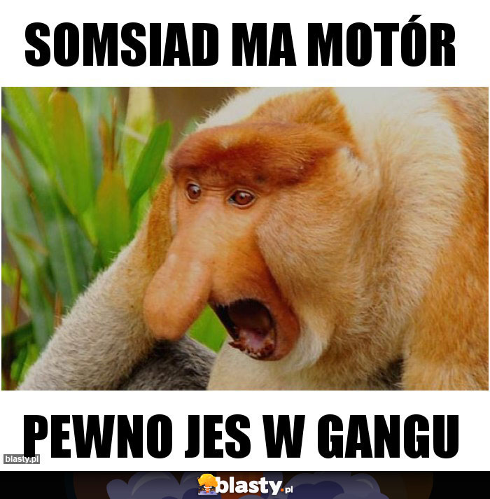 somsiad ma motór