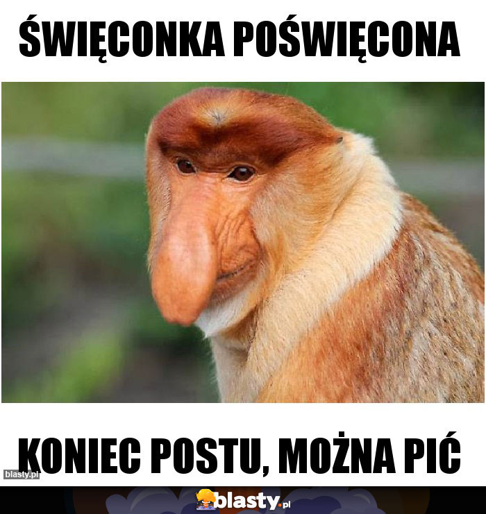 Święconka poświęcona