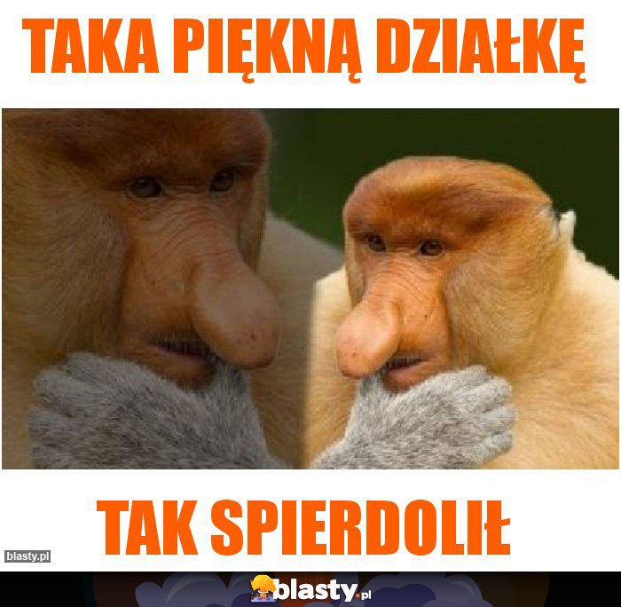 Taka piękną działkę