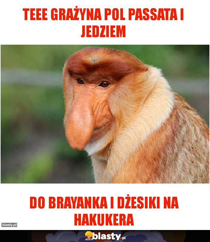 TEEE GRAŻYNA POL PASSATA I JEDZIEM