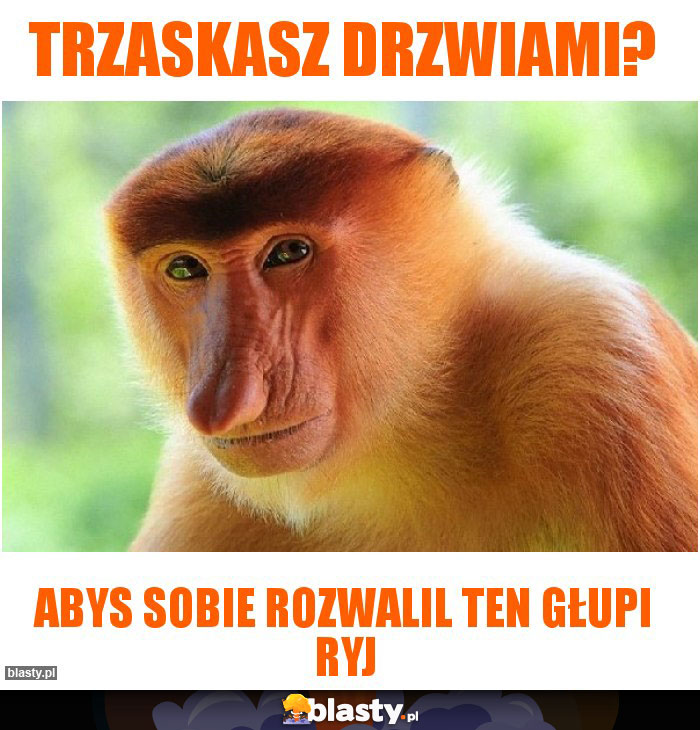 trzaskasz drzwiami?