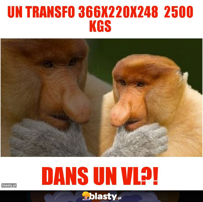 Un transfo 366x220x248  2500 kgs
