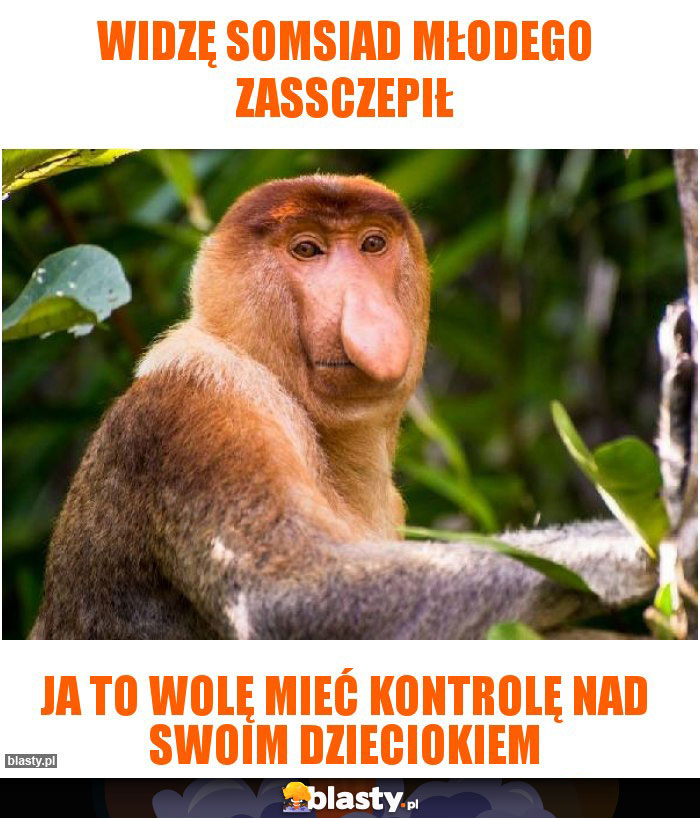 Widzę somsiad młodego zassczepił