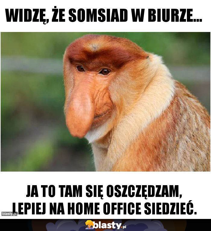 Widzę, że somsiad w biurze...