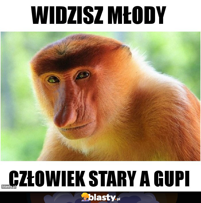 Widzisz Młody