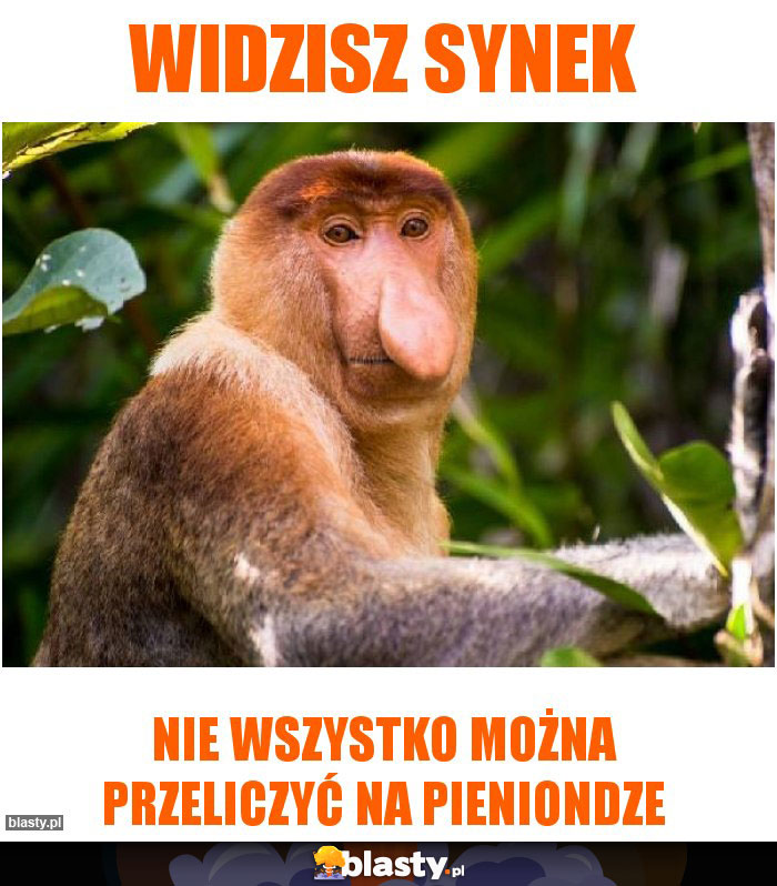 Widzisz synek