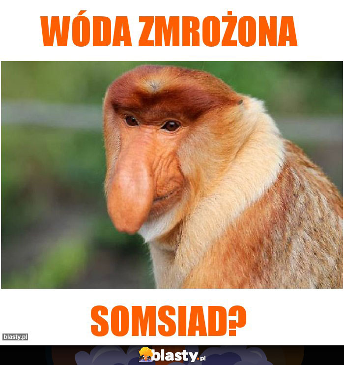 WÓDA ZMROŻONA