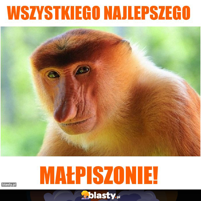Wszystkiego najlepszego