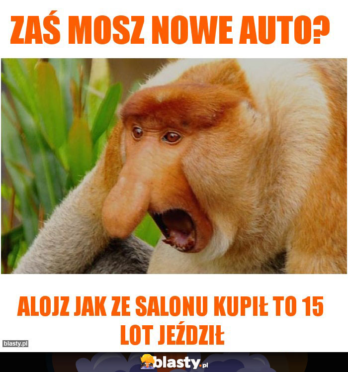 Zaś mosz nowe auto?