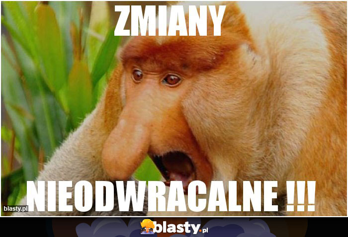 ZMIANY
