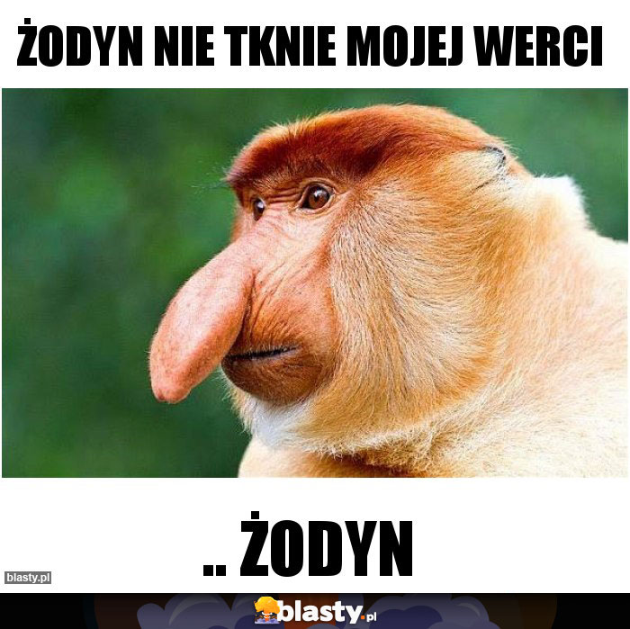 Żodyn nie tknie mojej werci