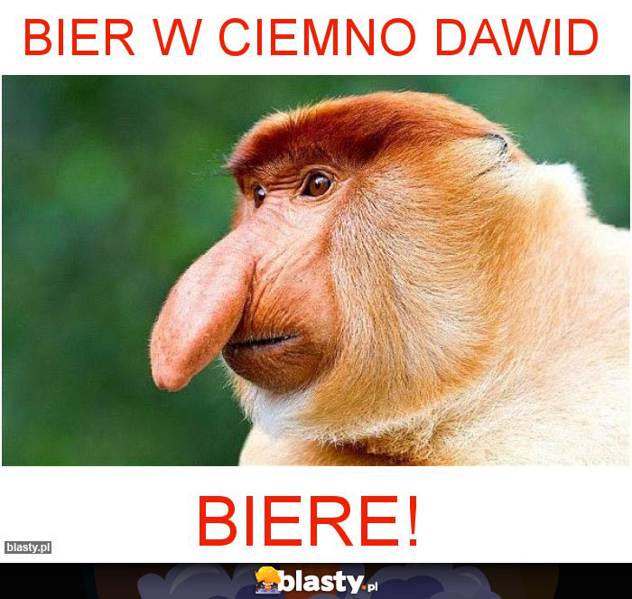 BIER w ciemno dawid