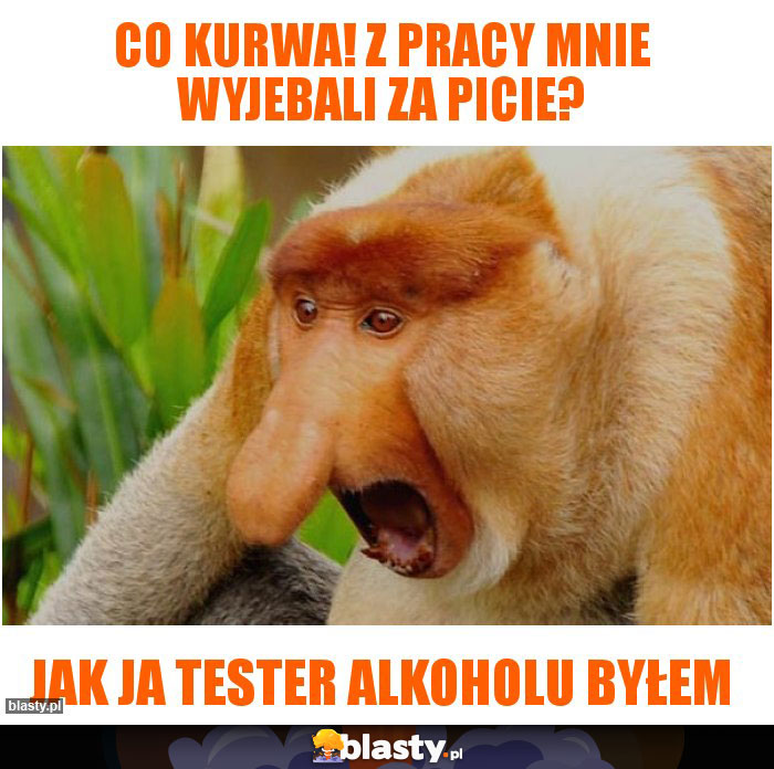 Co kurwa! z pracy mnie wyjebali za picie?