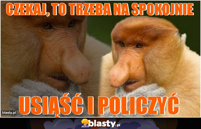 Czekaj, to trzeba na spokojnie