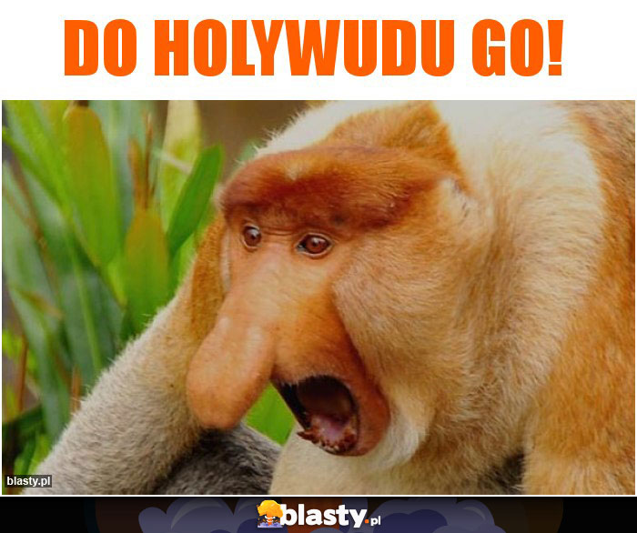 Do holywudu go!