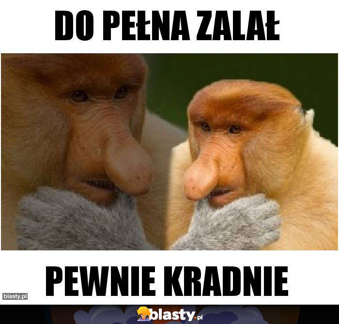 do pełna zalał