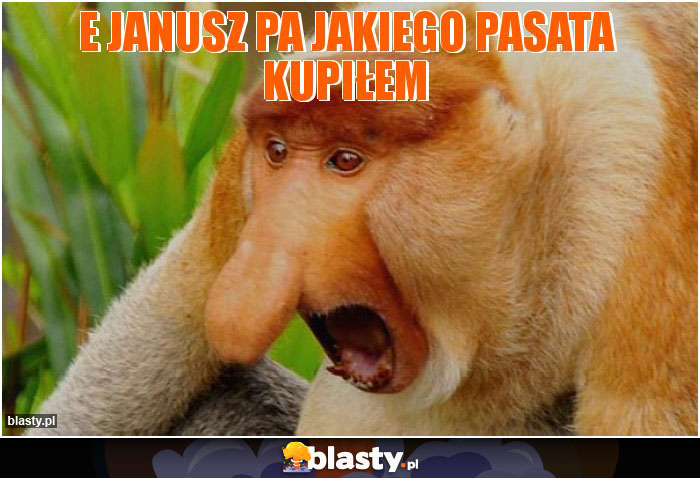 E Janusz Pa jakiego pasata kupiłem