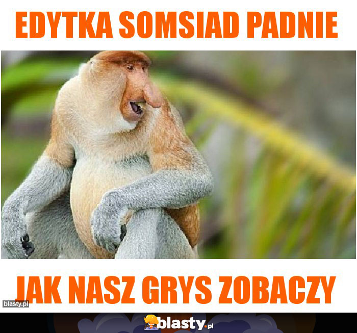 Edytka somsiad padnie