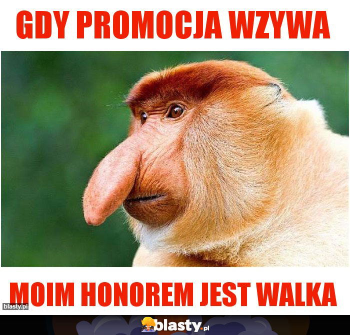 gdy-promocja-wzywa_2018-04-25_09-31-01.jpg