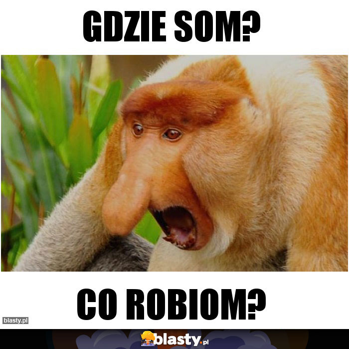 Gdzie som?