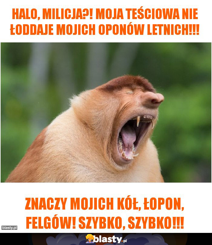 Halo, milicja?! Moja teściowa nie łoddaje mojich oponów letnich!!!