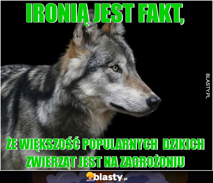 Ironią jest fakt,