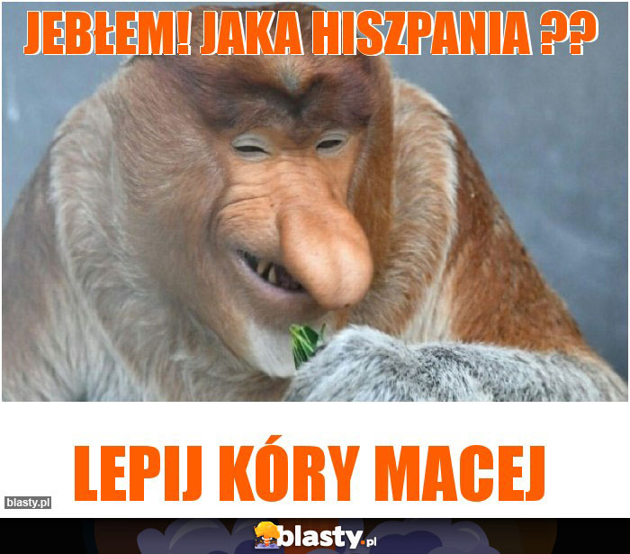 JEBŁEM! JAKA HISZPANIA ??