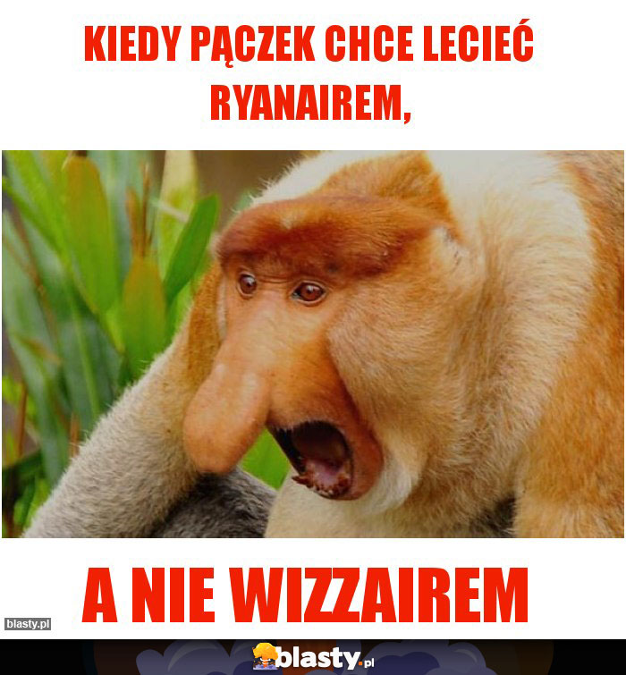 Kiedy Pączek chce lecieć Ryanairem,