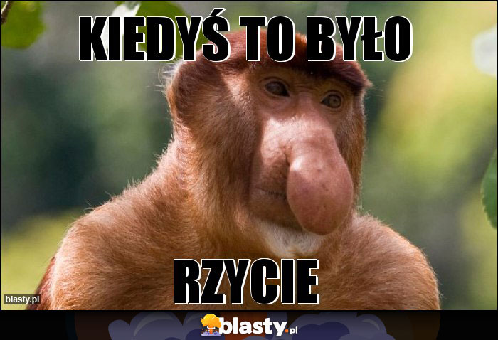 Kiedyś to było