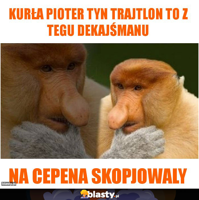 KurŁa Pioter tyn trajtlon to z tegu dekajśmanu