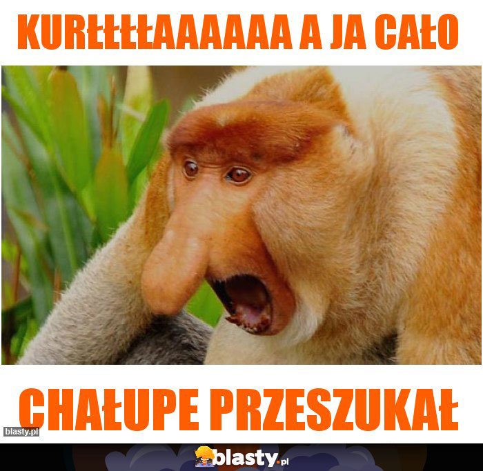 kurłłłłaaaaaa a ja cało